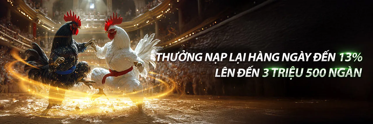 Đá Gà you88 nhà cái 2026 - Trận đấu kịch tính